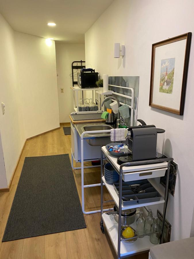 Glueck Am See - Apartment Mit Seezugang 哈尔施塔特 外观 照片