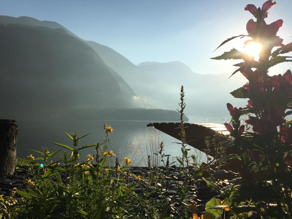 Glueck Am See - Apartment Mit Seezugang 哈尔施塔特 外观 照片